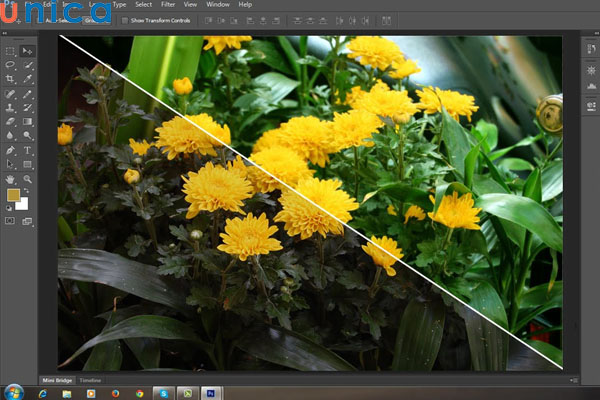 Sử dụng Photoshop để cắt ghép và biến đổi ảnh