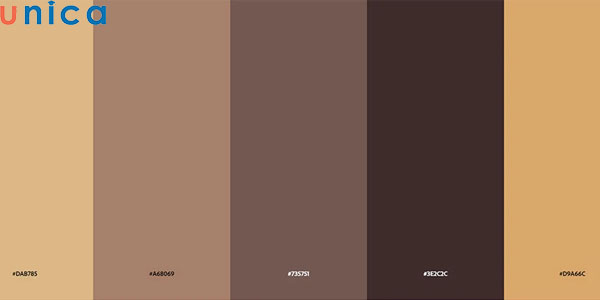 Bảng màu Plain Neutral