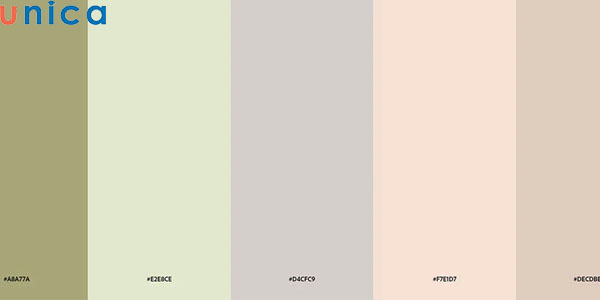Bảng màu Colorful Neutral Pastel