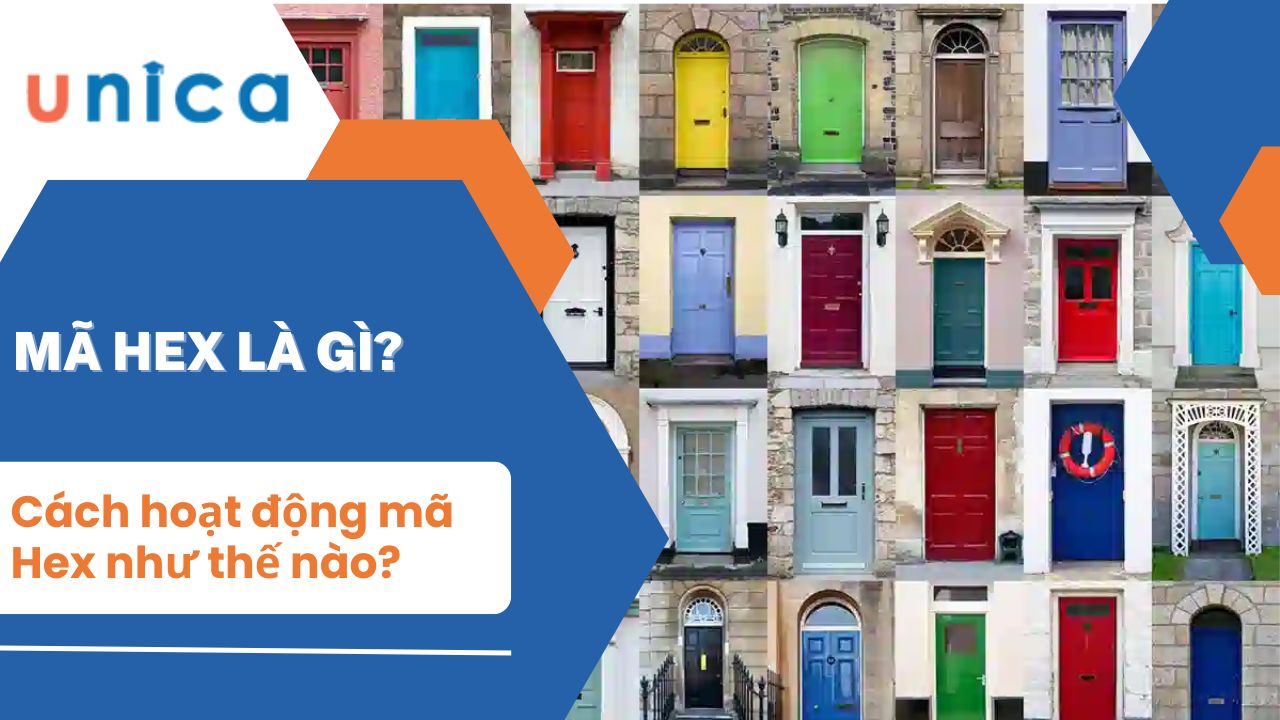 Mã Hex là gì? Tầm quan trọng của mã màu Hex trong thiết kế đồ hoạ