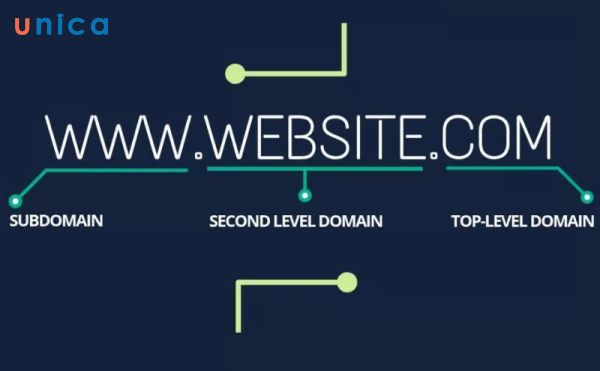 vai-tro-cua-domain.jpg