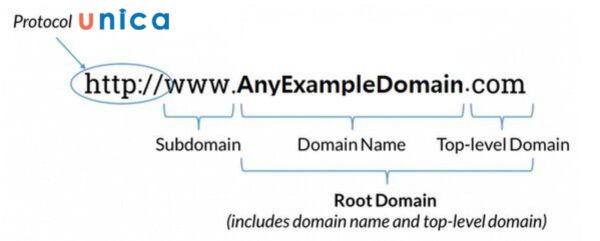 Tìm hiểu các thành phần của một domain