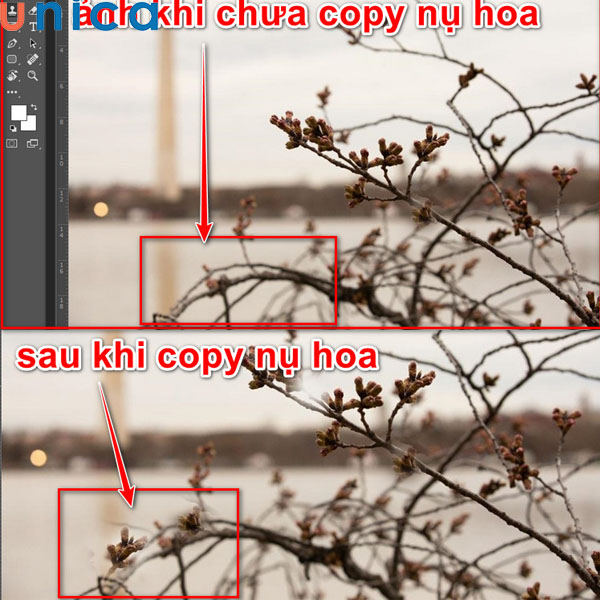 Kết quả hiển thị