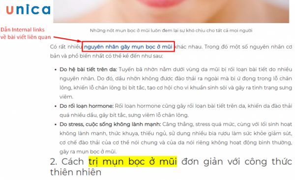 Bổ sung với các liên kết nội bộ đến bài viết