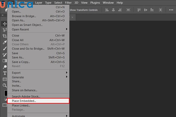 Chọn Place Embedded