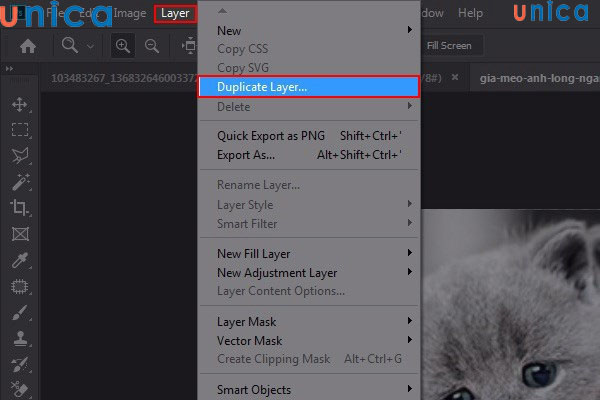 Chọn Duplicate Layer