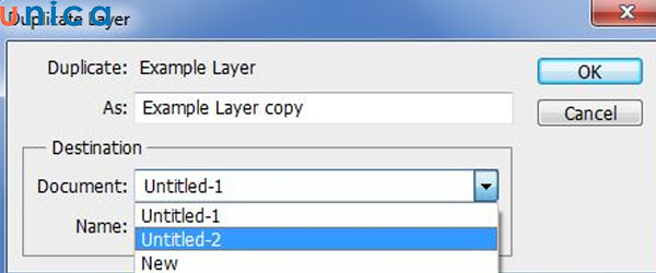 Đặt tên cho bản sao Layer
