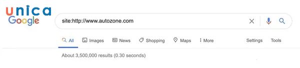 Kiểm tra URL đã được index của website