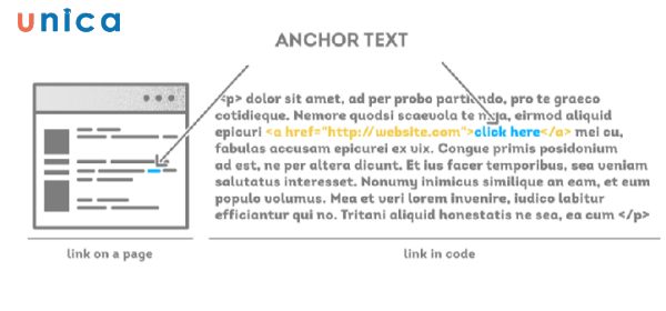 Sử dụng mô tả Anchor Text