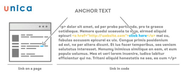 Anchor text giúp đa dạng hóa hồ sơ liên kết