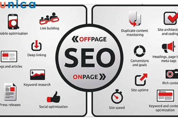 Phân biệt SEO Offpage và SEO Onpage