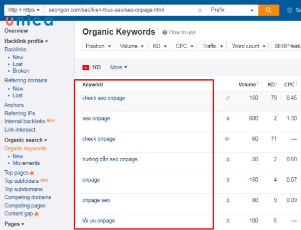 Sử dụng nhiều loại anchor text khác nhau
