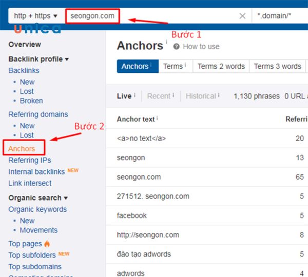 Click chuột vào mục Anchor