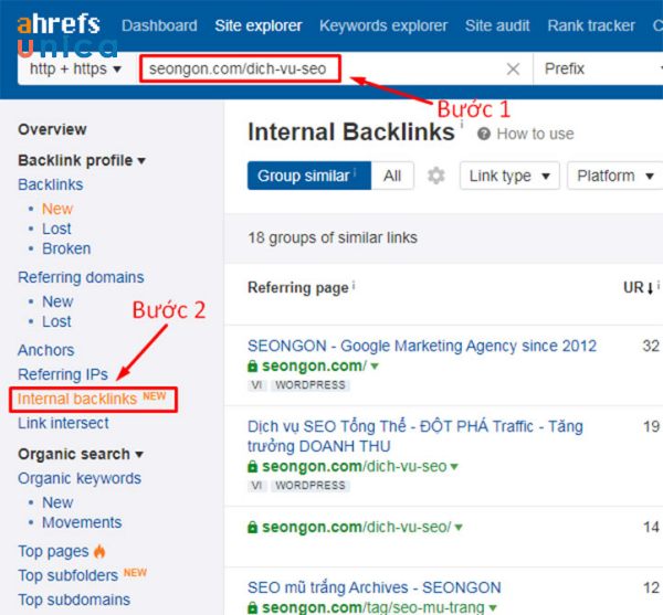 Click chuột vào mục Internal backlinks