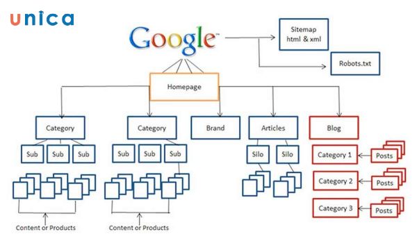 Cấu trúc website là cách tổ chức và sắp xếp các trang web