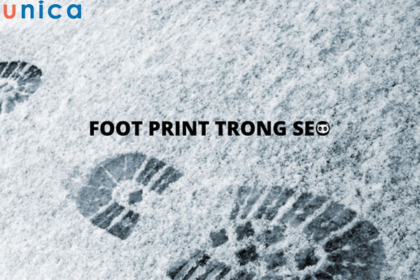 Google thường hay sử dụng thuật toán Footprint để nhận biết những website đang có hành vi gian lận