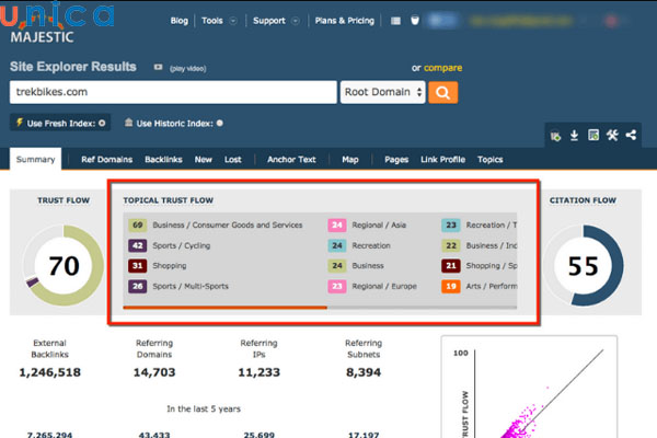 Topical Trust Flow là chỉ số đánh giá tầm ảnh hưởng của website 