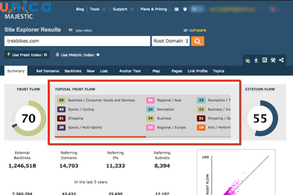 Topical Trust Flow là chỉ số đánh giá tầm ảnh hưởng của website