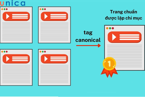 Kỹ thuật Technical SEO giúp tăng khả năng lập chỉ mục của Google