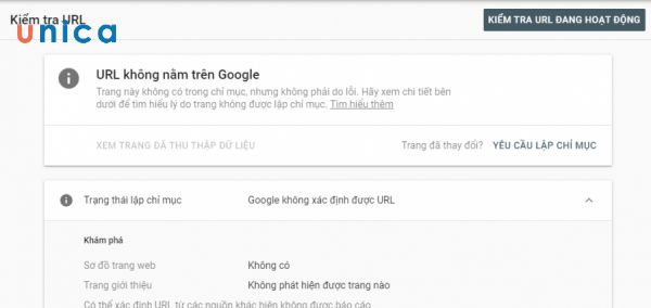 URL chưa được Google index
