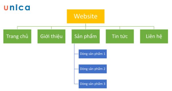 Cấu trúc website