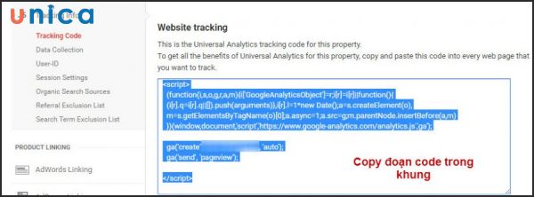 Copy đoạn code này