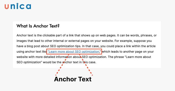 Sử dụng Từ khóa LSI có liên quan chặt chẽ trong Anchor Text