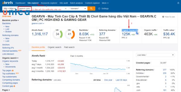 Click chọn Organic keywords