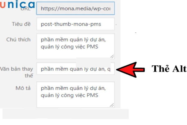 Thuộc tính Alt giúp người đọc hình dung rõ hơn nội dung của hình ảnh