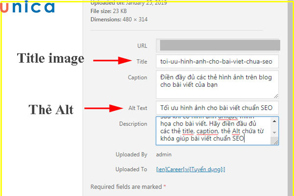 Thẻ Alt và Title Image không phải là một