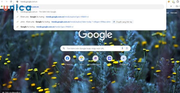 Nhập tên miền trends.google.com.vn vào thanh tìm kiếm của Google