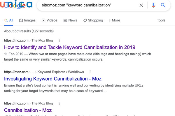 Keyword Cannibalization đang kìm hãm xếp hạng trang đầu website