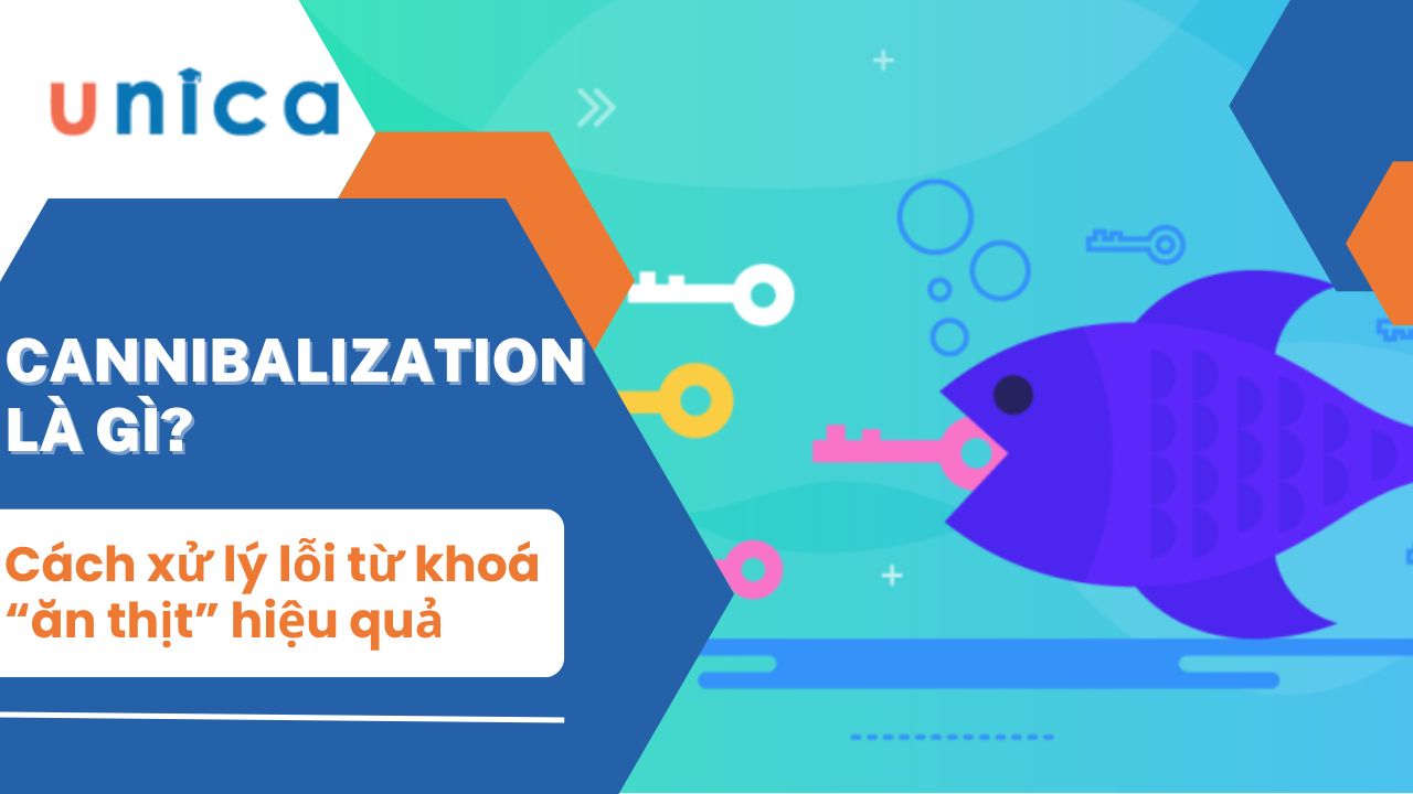 Keyword Cannibalization là gì? Cách xác định và xử lý hiệu quả