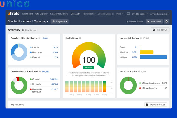 SEO Audit được đánh giá là quan trọng trong quy trình SEO