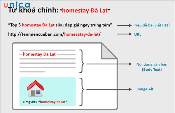 Chọn từ khóa có thể lồng ghép trong nội dung bài viết