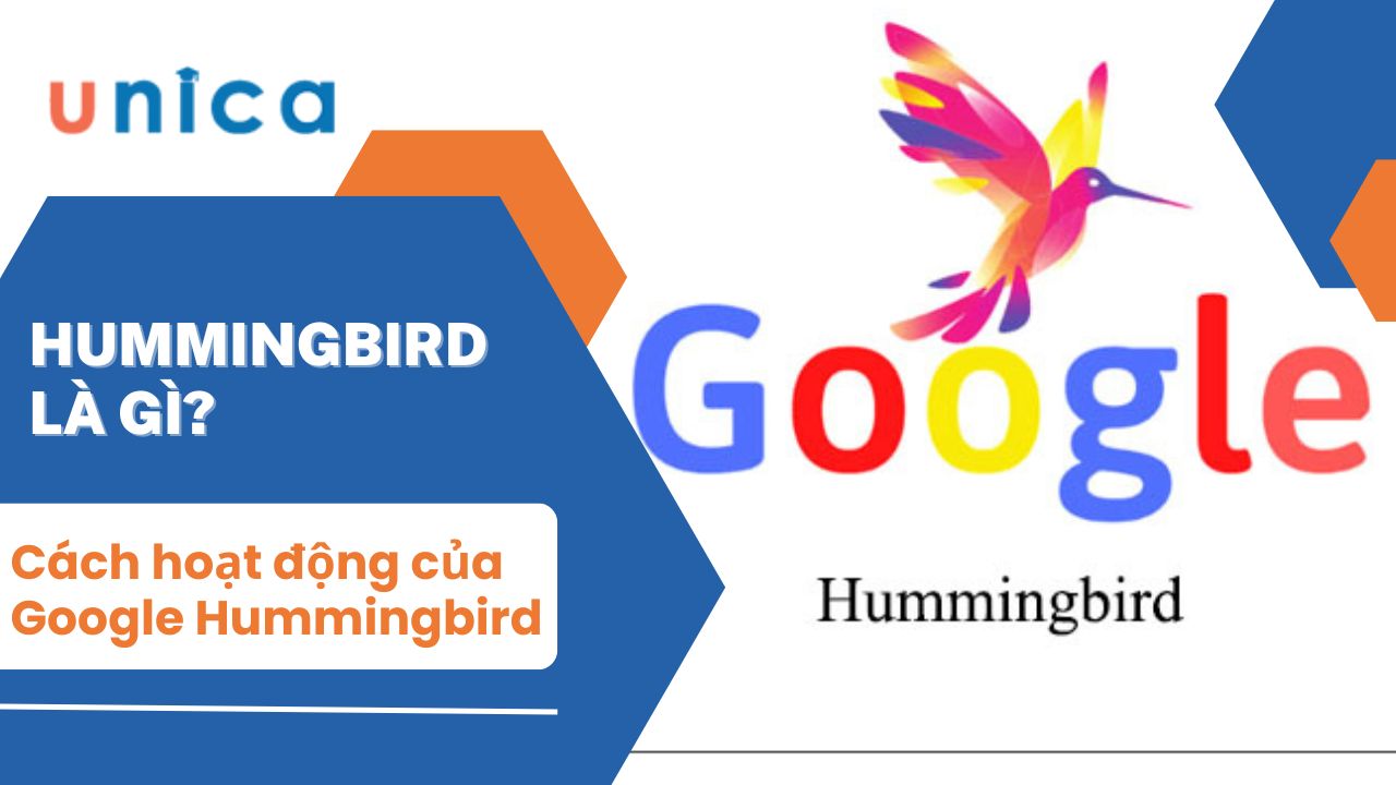 Google Hummingbird là gì? Cách SEO Website thân thiện với Google Hummingbird