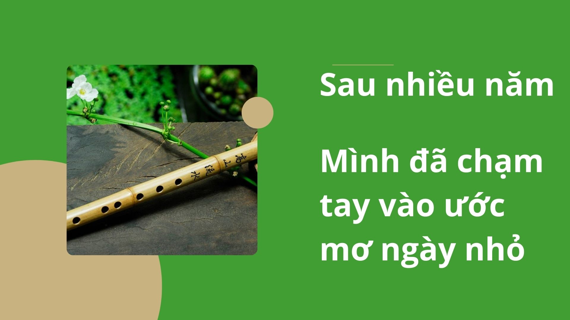 Sau nhiều năm, mình đã chạm tay vào ước mơ ngày nhỏ