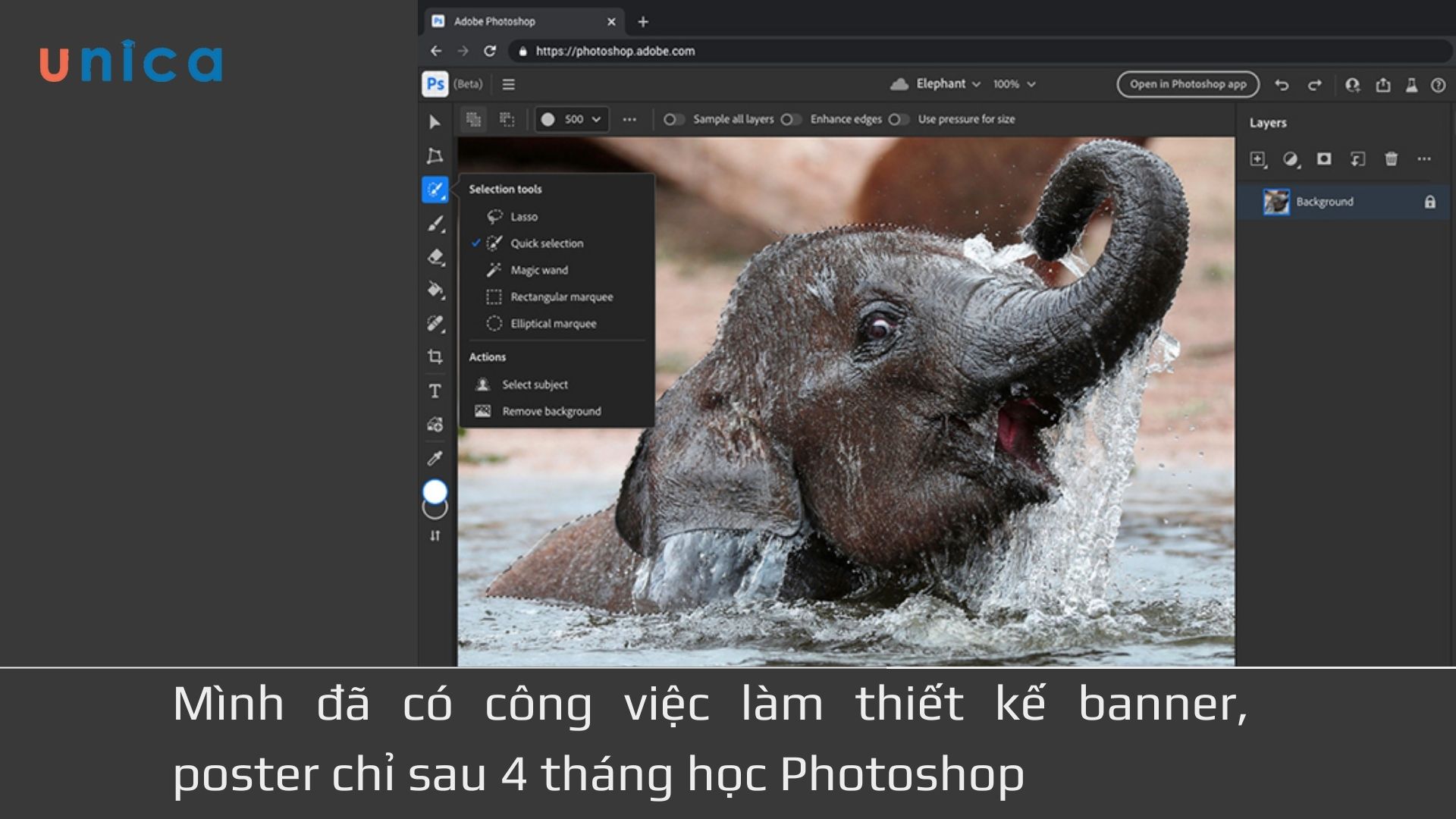 Mình đã đỗ phỏng vấn 4 công ty có tiếng chỉ sau 3 tháng học Photoshop