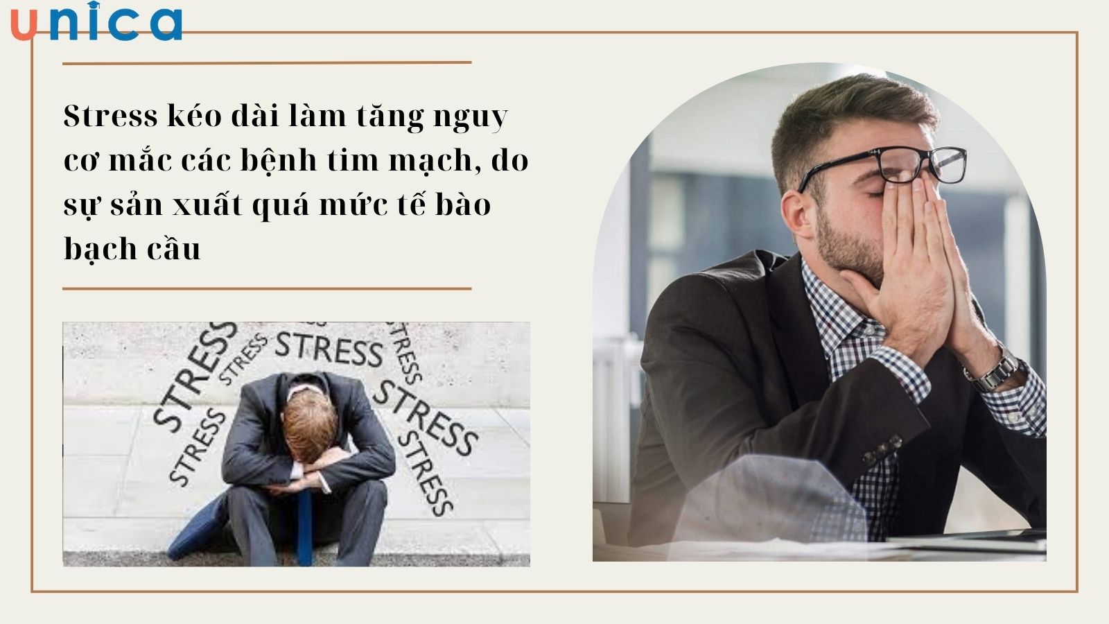Stress làm tăng nguy cơ mắc bệnh tim mạch