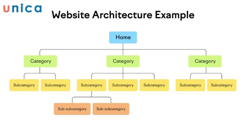 Xây dựng cấu trúc website