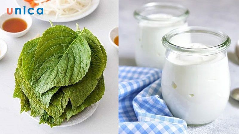 Đắp mặt tía tô với sữa chua không đường