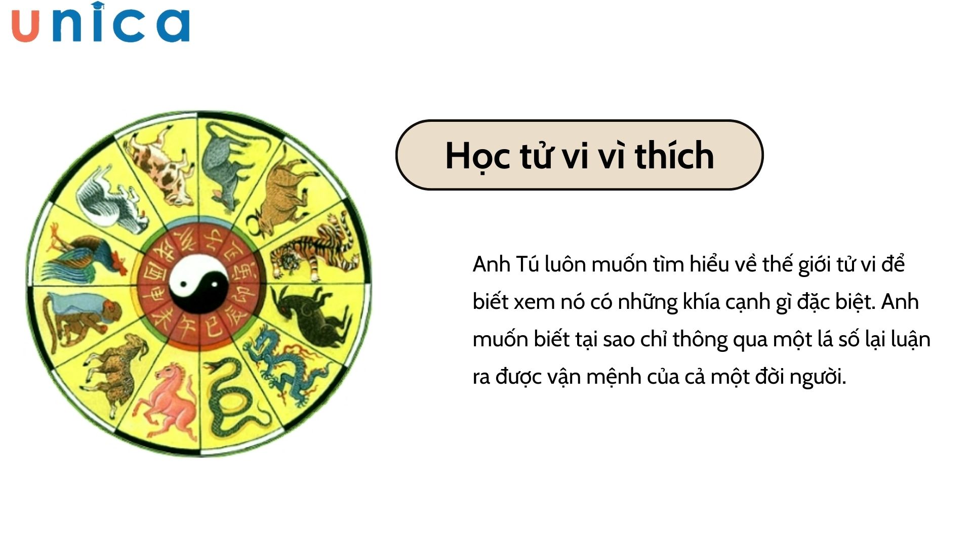 Tìm hiểu tử vi vì yêu thích