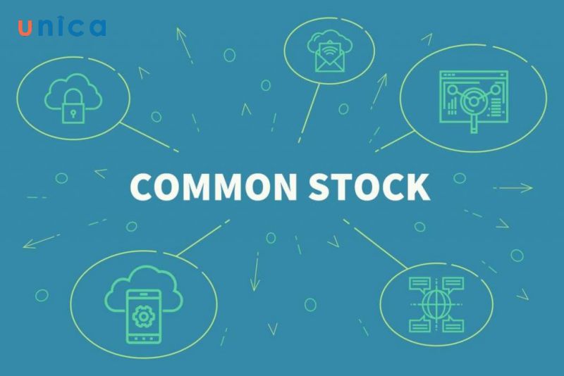 Cổ phiếu thường (Common Stock)