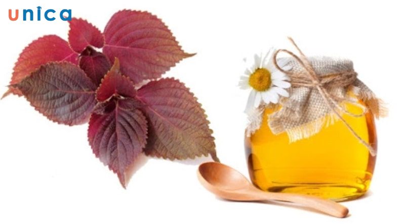 Dưỡng trắng da với tía tô và mật ong