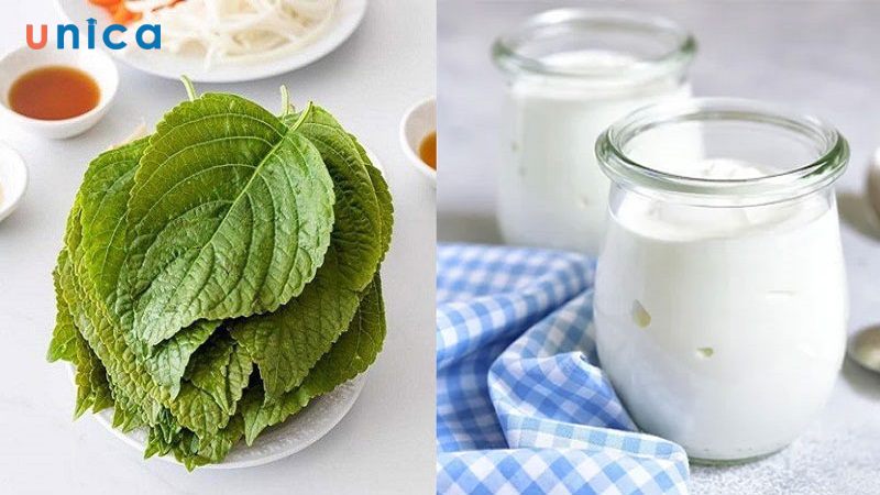 Dưỡng trắng da bằng tía tô và sữa chua