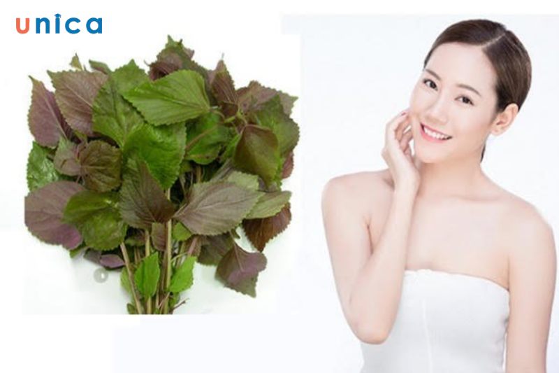 Làm trắng da bằng lá tía tô khiến da mỏng hơn nên cần che chắn cẩn thận