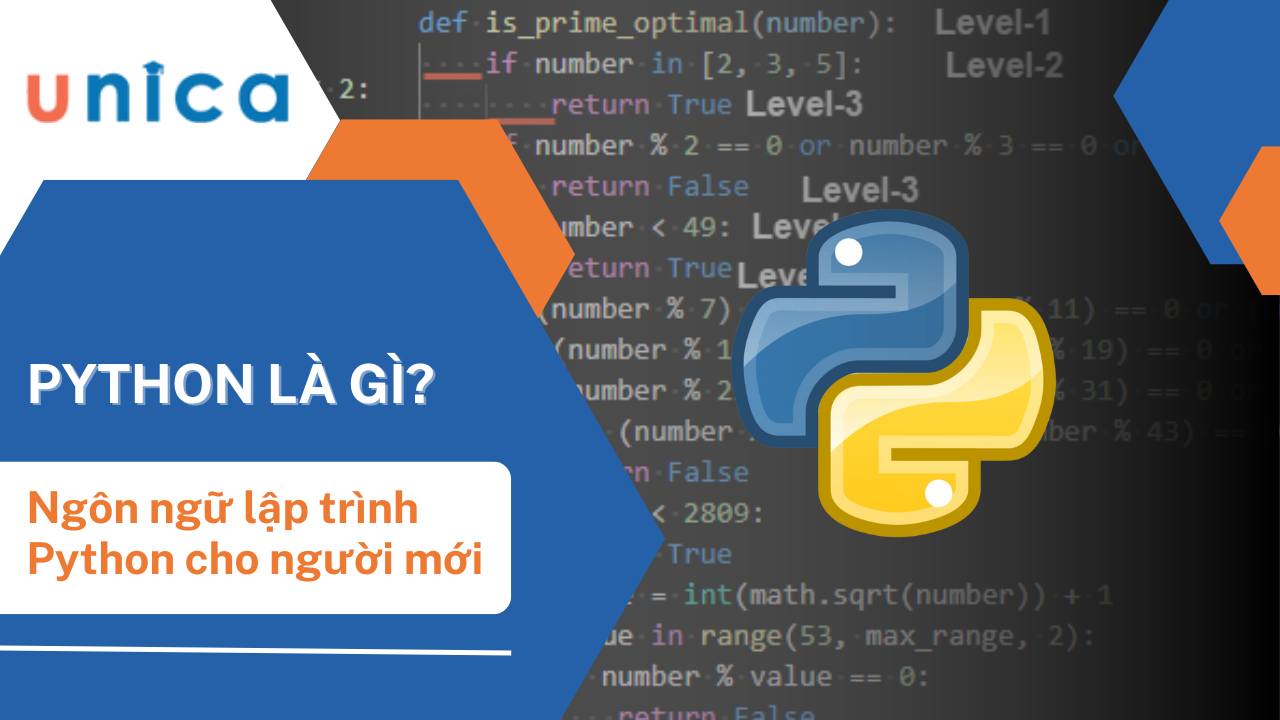 Python là gì? Ngôn ngữ lập trình Python cho người mới