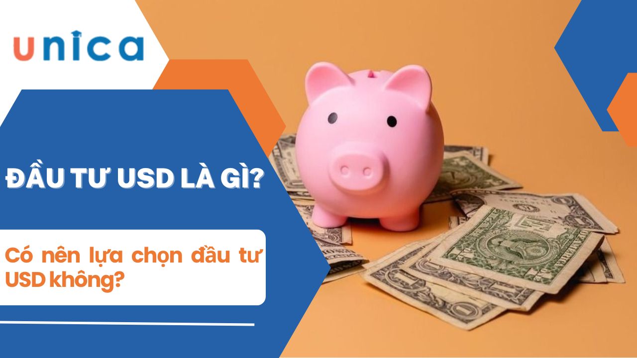 Đầu tư USD là gì? Có nên đầu tư đô la hay không?