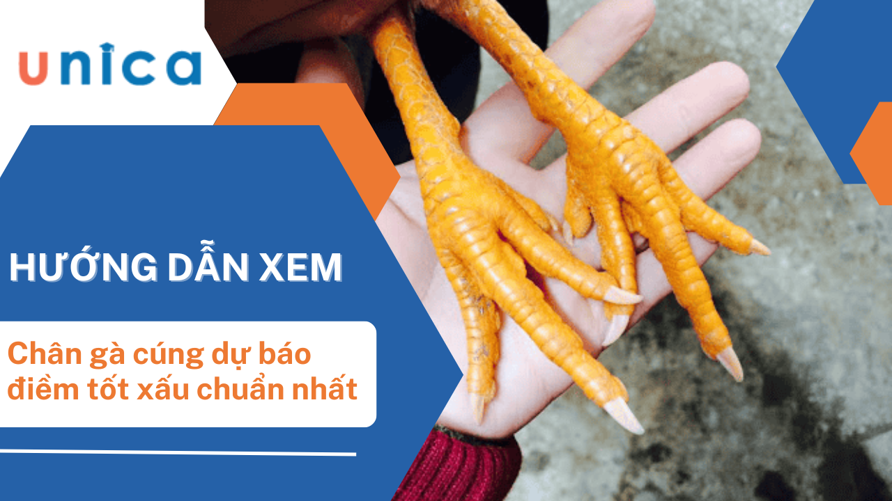 Cách xem chân gà cúng dự báo điềm tốt xấu chuẩn nhất