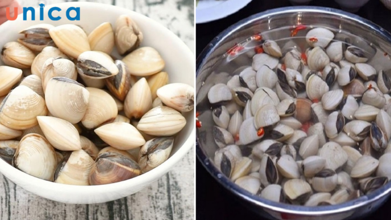 Làm sạch ngao với nước muối pha loãng